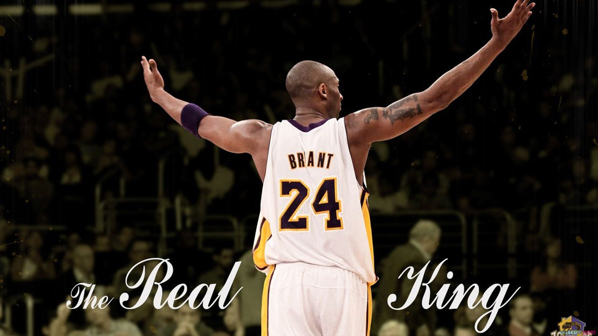 雷霆席卷萨城,双子星撕裂王权